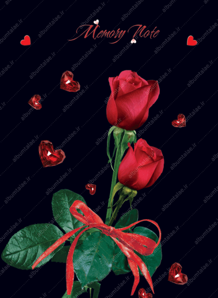عکس گل رز با زمینه مشکی