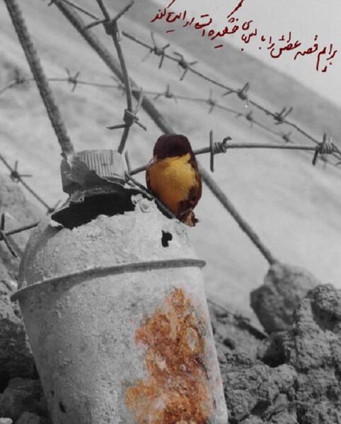 عکس پس زمینه شهدایی