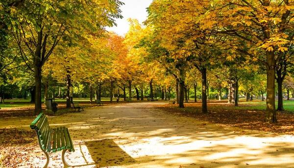 عکس پاییز آلمان