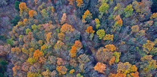 عکس پاییز آلمان