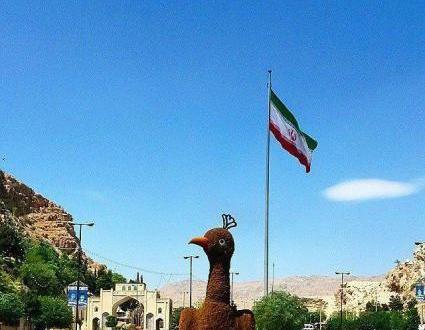 عکس طاووس قدیمی شیراز