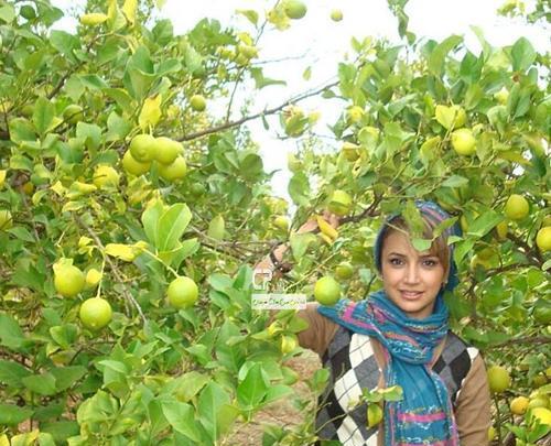 عکس طبیعت واقعی بهار