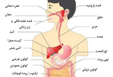 عکس جاهای زشت بدن