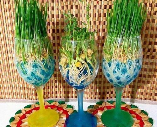 عکس سبزه در خاک ژله ای
