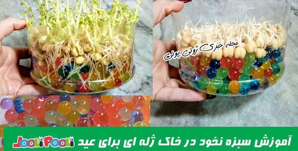 عکس سبزه در خاک ژله ای