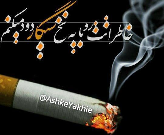 عکس مهراب پروف