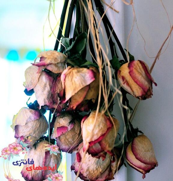 عکس ایده زیبا