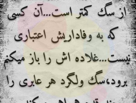 عکس پروفایل برادر بی وفا