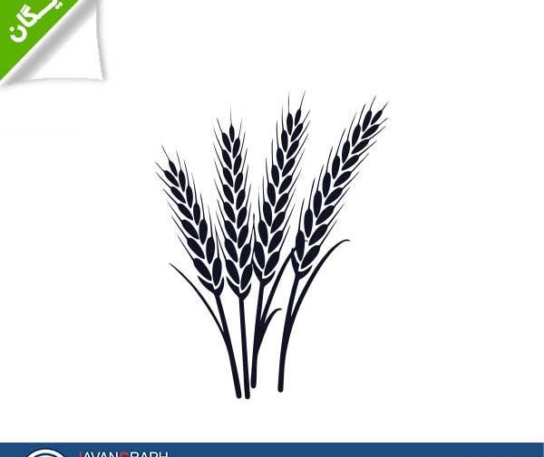 عکس دانلود وکتور گندم