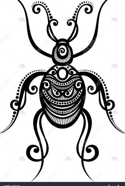 عکس سوسک عجیب و غریب