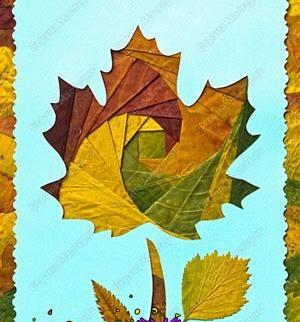 قاب عکس با برگ پاییزی