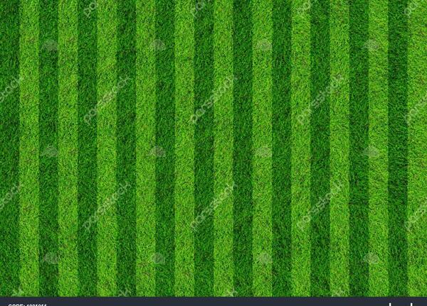 عکس پس زمینه چمن