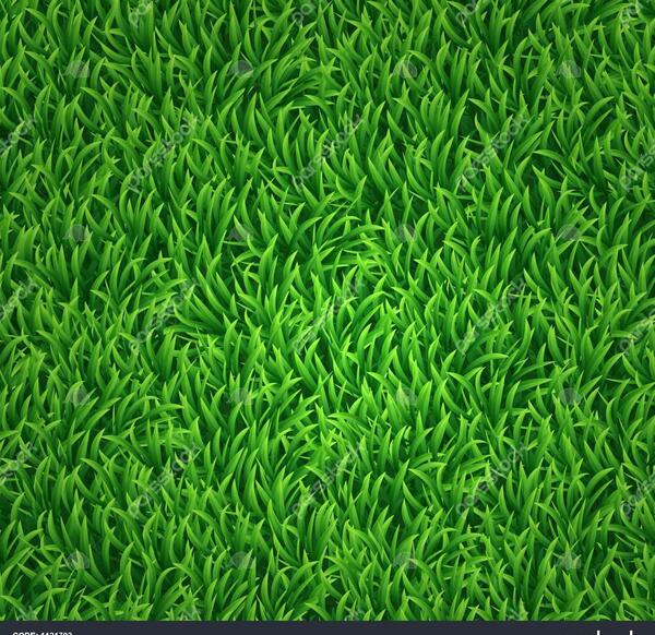 عکس پس زمینه چمن