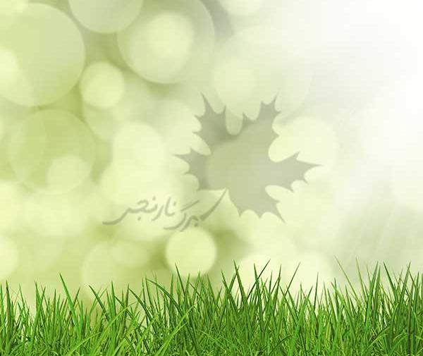 عکس لایه باز چمن