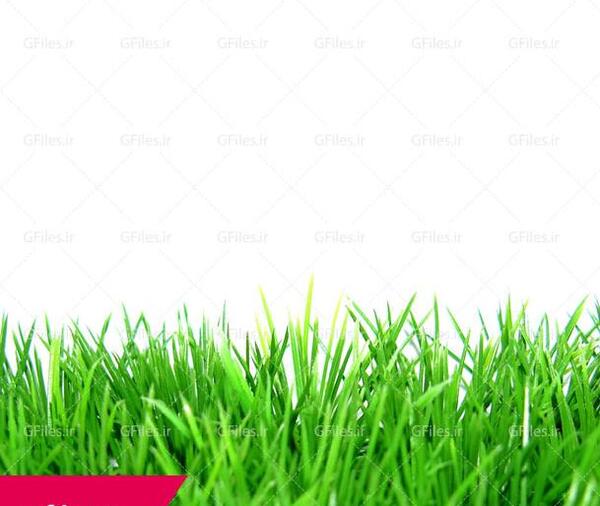 عکس لایه باز چمن