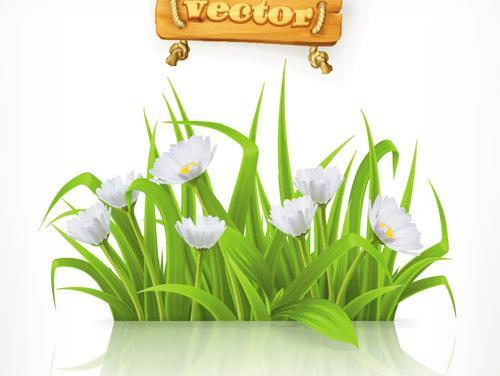 عکس لایه باز چمن