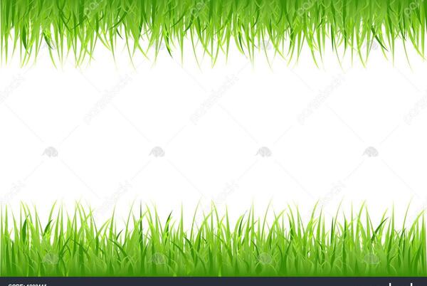 عکس لایه باز چمن