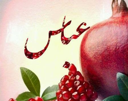 عکس خالی شب یلدا