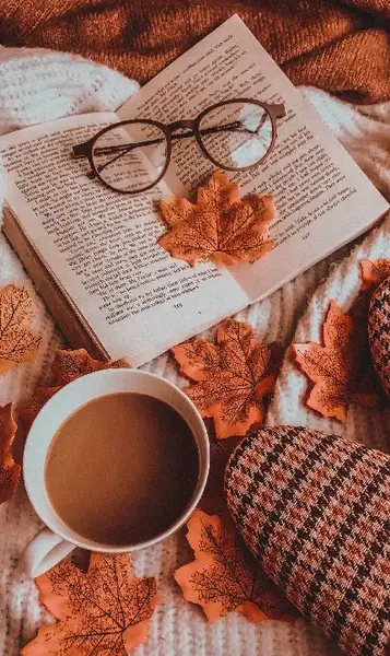 عکس پاییزی چای