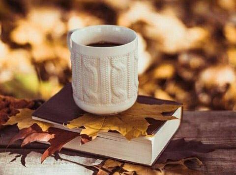 عکس پاییزی چای