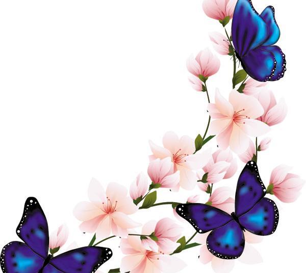 عکس دانلود وکتور پروانه