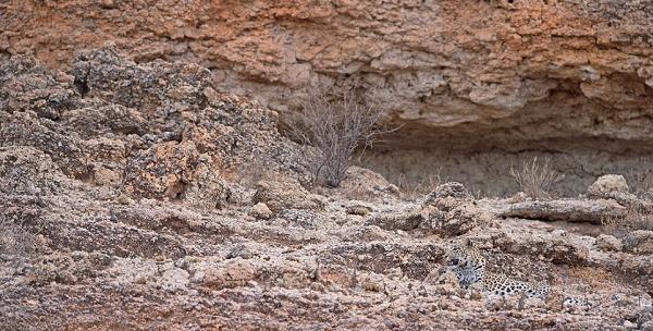 معمای عکس ماشین در صخره