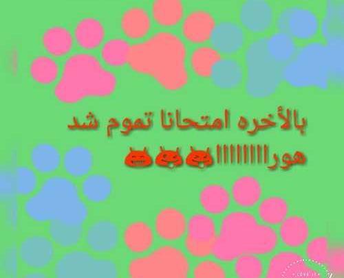 عکس پروفایل خوشحالی یعنی تموم شدن امتحانات