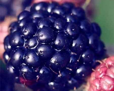 عکس زن علی رزاقی