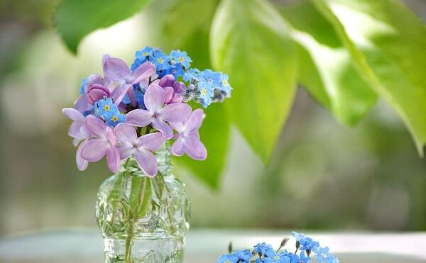 عکس پس زمینه ساده و زیبا گل