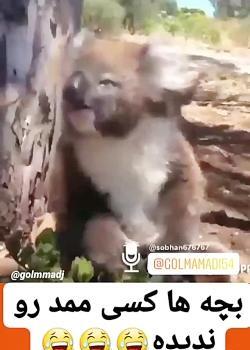 عکس ممد قلی اسلایم