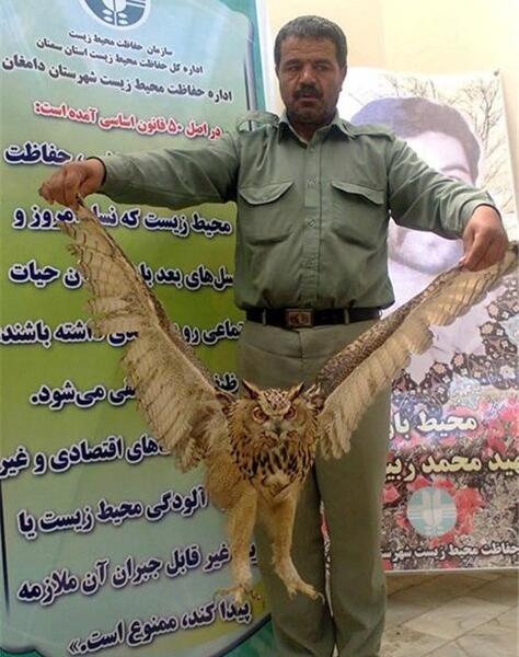 عکس شاه بوف