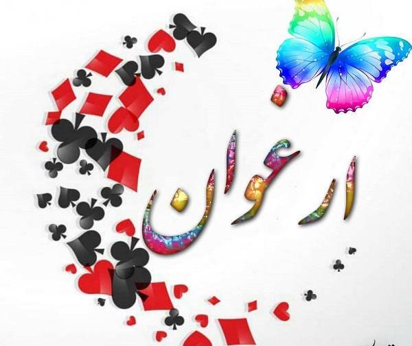 عکس ارغوان به انگلیسی