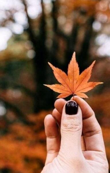 عکس پروفایل خفن پاییز
