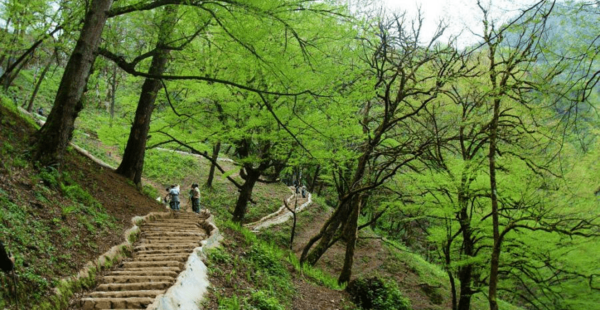 عکس جاهای دیدنی حسن رود