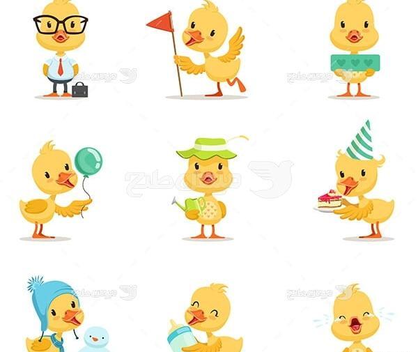 عکس وکتور جوجه