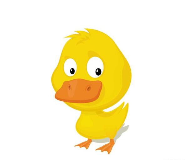 عکس وکتور جوجه