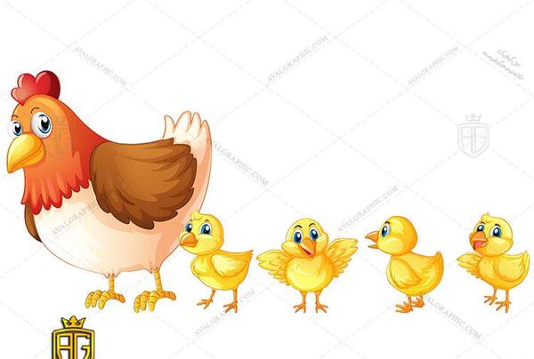 عکس وکتور جوجه