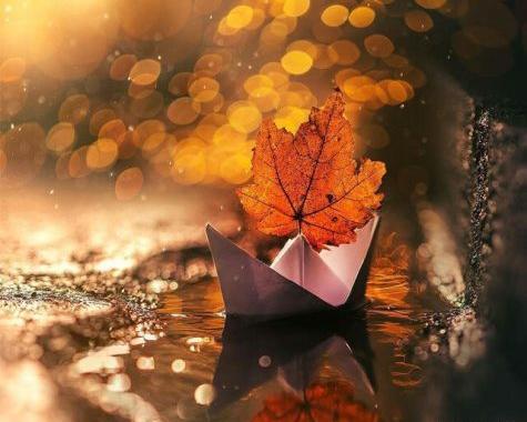 عکس نوشته مثل باد سرد پاییز