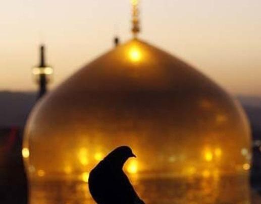عکس حرم علی ابن موسی الرضا