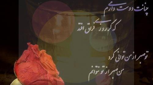 عکس پروفایل عمه فوت شده
