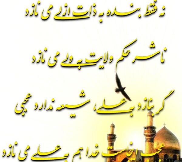 عکس شاه نجف