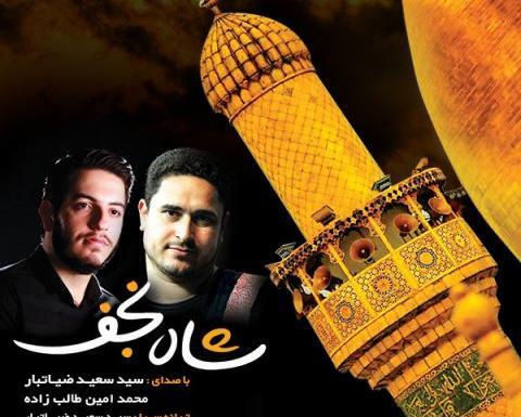 عکس شاه نجف