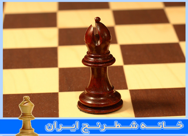 عکس حرکت فیل در شطرنج