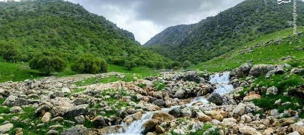 عکس سنگ و چشمه