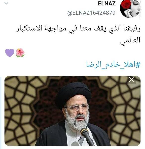 عکس رئیسی خادم الرضا
