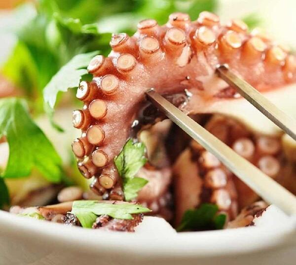عکس غذا زنده