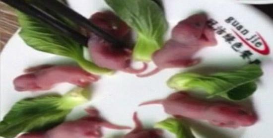 عکس غذا زنده