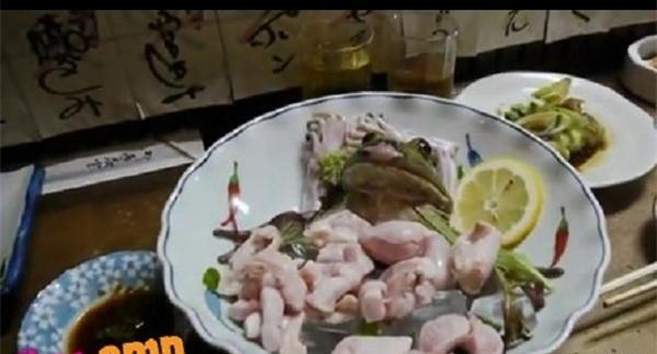 عکس غذا زنده