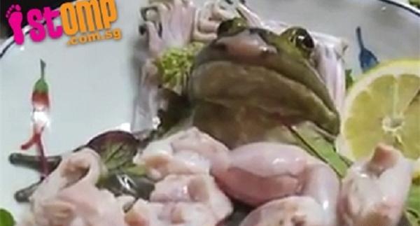 عکس غذا زنده
