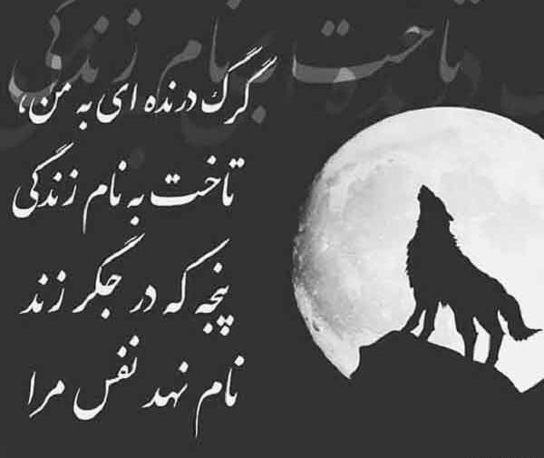 عکس پروفایل ترکی حیدر بابا